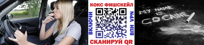 COCAIN Fish Scale  Купить  Кодинск 