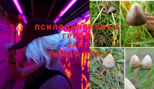 соль курить ск Ладушкин
