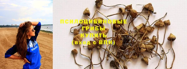 прущие крисы Лагань