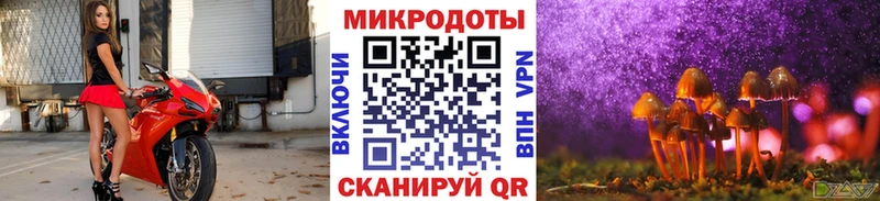 Купить  Кодинск  Галлюциногенные грибы GOLDEN TEACHER 